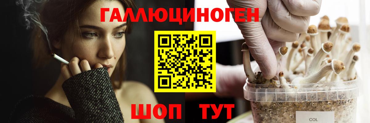 Псилоцибиновые грибы Cubensis  цены   Тобольск  Вход с VPN 